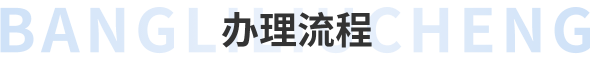 办理流程