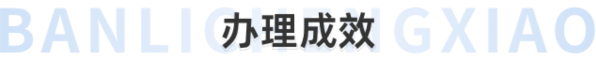 办理成效